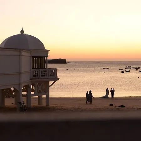 Esencia De Entre La Vina Y El Mercado 公寓 *
