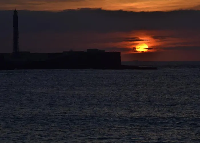 Esencia De Entre La Vina Y El Mercado
