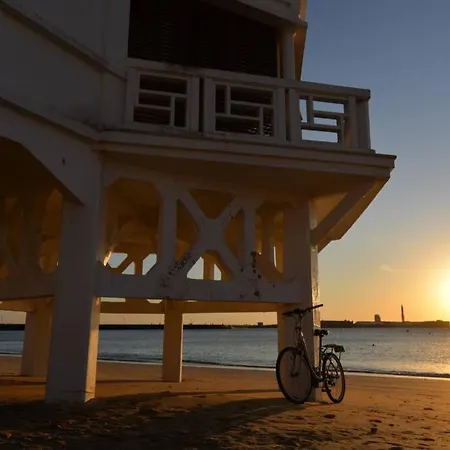 Esencia De Entre La Vina Y El Mercado * カディス