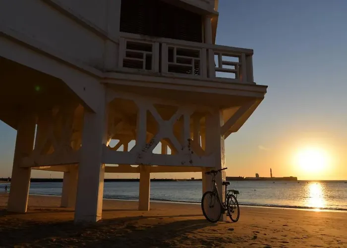 Esencia De Entre La Viña Y El Mercado * Cádis